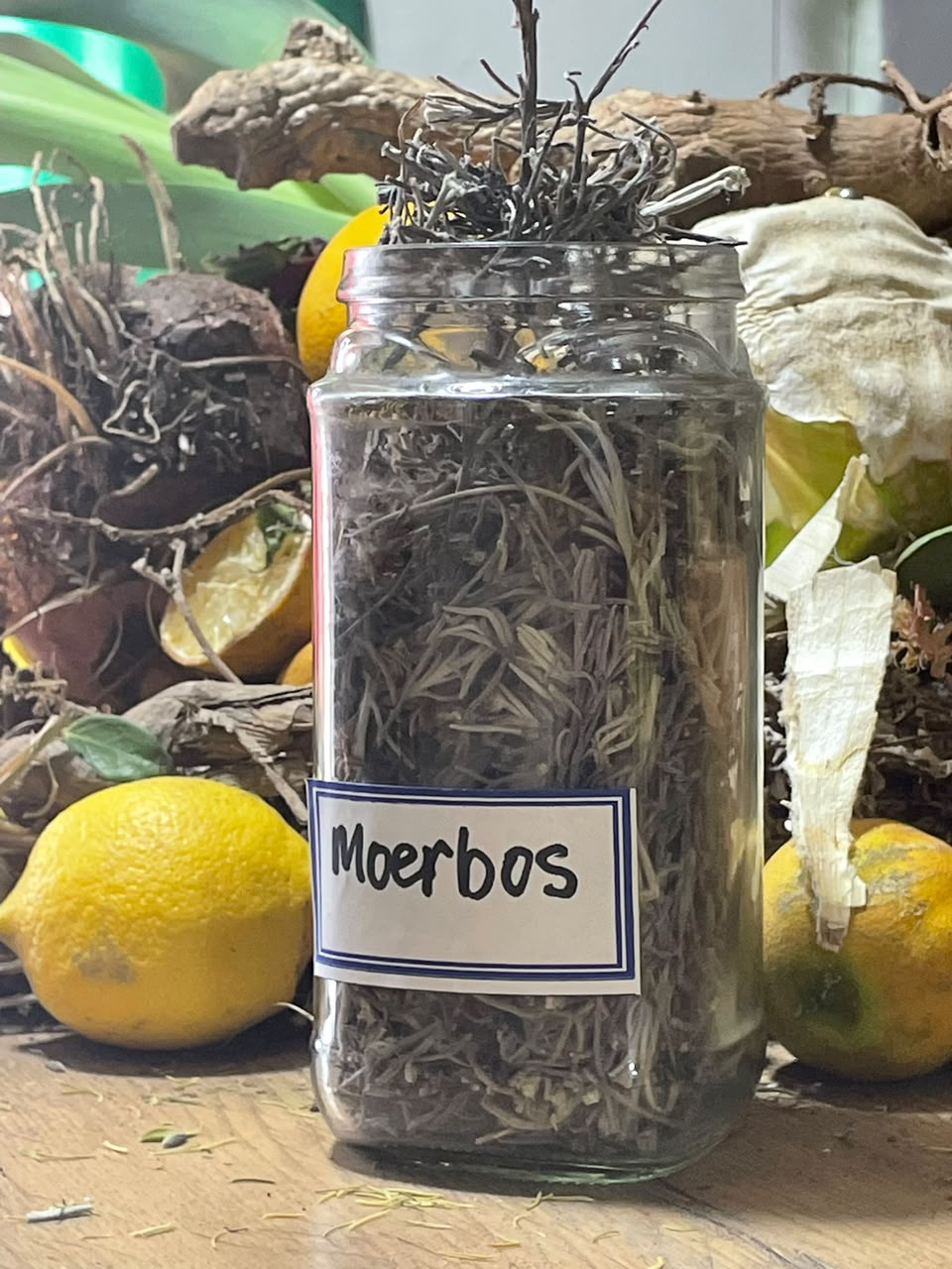 indigenous moerbos